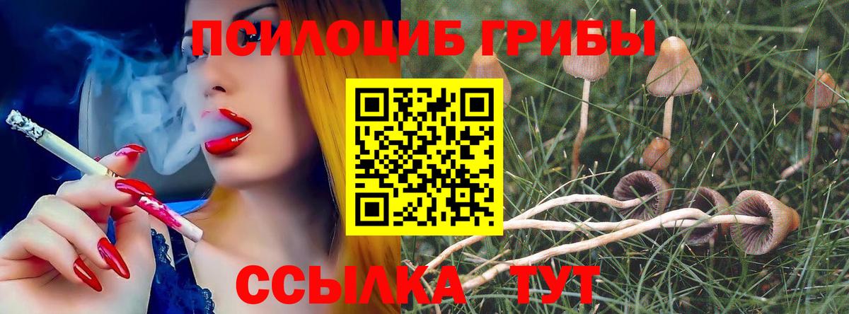 Псилоцибиновые грибы мицелий Каспийск