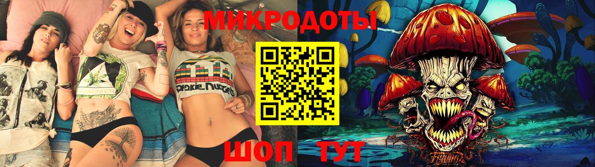 Каспийск  как найти   Вход с VPN  Псилоцибиновые грибы Psilocybe 